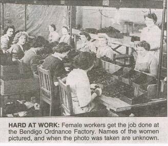 Newspaper - JENNY FOLEY COLLECTION: HARD AT WORK