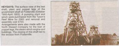 Newspaper - JENNY FOLEY COLLECTION: HEYDAYS