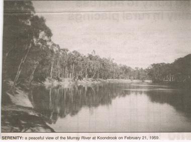 Newspaper - JENNY FOLEY COLLECTION: SERENITY