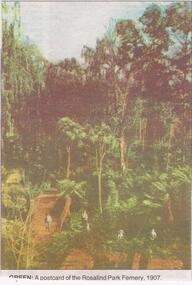 Newspaper - JENNY FOLEY COLLECTION: GREEN