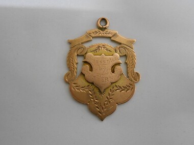 Medal - CHARLES EDWIN HUNT COLLECTION: MEDAL, 1895-1896