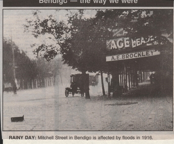 Newspaper - JENNY FOLEY COLLECTION: RAINY DAY