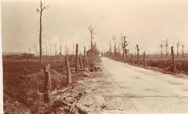 Postcard - ACC LOCK COLLECTION: SEPIA PHOTO OF ROADWAY WITH DEFOLIATED TREES, POSTCARD, 1914-1918