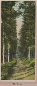 Postcard - GLADYS DEAN COLLECTION: POSTCARD, 1906 - 1908