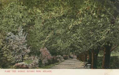 Postcard - GLADYS DEAN COLLECTION: POSTCARD, 1906 - 1908