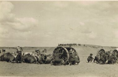 Postcard - ACC LOCK COLLECTION: B&W PHOTO OF CAMELS AND GUN CARRIAGES, POSTCARD, 1914-1918