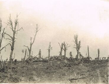 Photograph - ACC LOCK COLLECTION: B&W PHOTO OF BATTLEGROUND WITH STRIPPED TREES, PHOTOGRAPH, 1914-1918