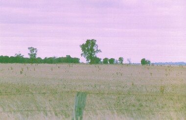 Photograph - NORM GILLIES COLLECTION: SITE OF GILLIES FAMILY FARM