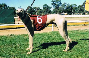 Photograph - COLOUR PHOTOGRAPH OF WINNER HEAT 2
