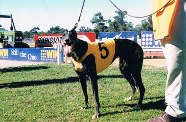 Photograph - COLOUR PHOTOGRAPH OF WINNER HEAT 4