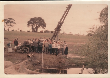 Photograph - PETER ELLIS COLLECTION: EUCALYPTUS WORKING IN THE WHIPSTICK