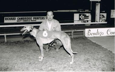 Photograph - COLOUR PHOTOGRAPH OF GREYHOUND