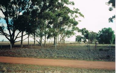 Photograph - NORM GILLIES COLLECTION: PHOTOGRAPH OF GILLIES FARM NARREWILLOCK