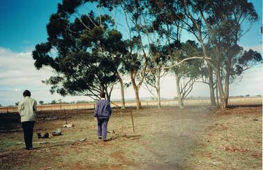Photograph - NORM GILLIES COLLECTION: PHOTOGRAPH OF GILLIES FARM NARREWILOCK