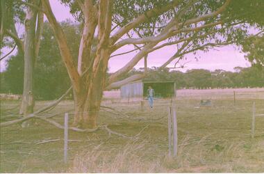 Photograph - NORM GILLIES COLLECTION: PHOTOGRAPH TRACTOR SHED, NARREWILLOCK