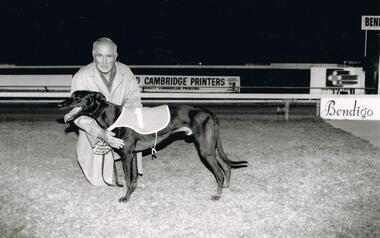 Photograph - BLACK AND WHITE PHOTOGRAPH OF GREYHOUND
