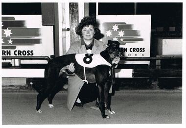 Photograph - BLACK AND WHITE PHOTOGRAPH OF GREYHOUND