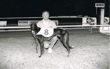 Photograph - BLACK AND WHITE PHOTOGRAPH OF GREYHOUND