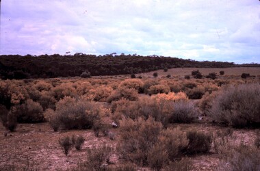 Slide - PETER ELLIS COLLECTION: SLIDE, May 1970 - Jan 1972