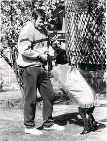 Photograph - PHOTOGRAPH OF GREYHOUND