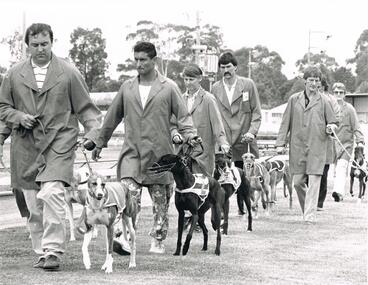 Photograph - BLACK AND WHITE PHOTOGRAPH OF GREYHOUNDS