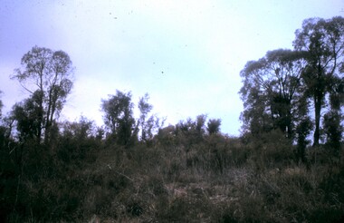 Slide - PETER ELLIS COLLECTION: SLIDE, May 1970 - Jan 1972