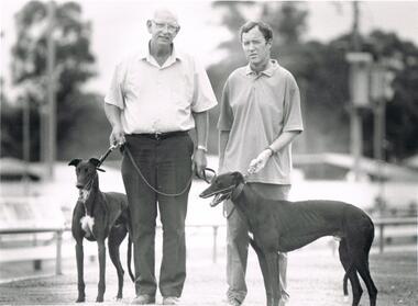 Photograph - BLACK AND WHITE PHOTOGRAPH OF GREYHOUND