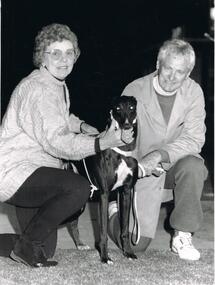 Photograph - BLACK AND WHITE PHOTOGRAPH OF GREYHOUND