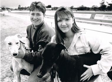 Photograph - BLACK AND WHITE PHOTOGRAPH OF GREYHOUNDS