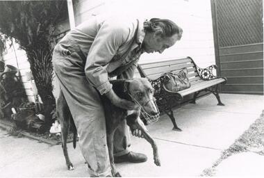 Photograph - BLACK AND WHITE PHOTOGRAPH OF GREYHOUND