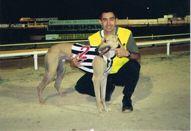 Photograph - COLOUR PHOTOGRAPH OF GREYHOUND
