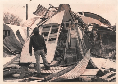Photograph - SANDHURST BOYS CENTRE COLLECTION: MINI TORNADO DAMAGE 8 JUNE