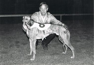 Photograph - BLACK AND WHITE PHOTOGRAPH OF GREYHOUND