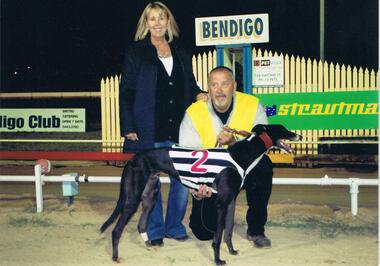 Photograph - COLOUR PHOTOGRAPH OF GREYHOUND