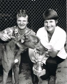 Photograph - BLACK AND WHITE PHOTOGRAPH OF GREYHOUND