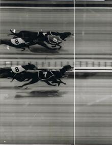 Photograph - BLACK AND WHITE PHOTOGRAPH OF PHOTO FINISH  AT THE END OF THE RACE