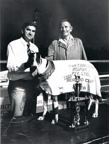 Photograph - BLACK AND WHITE PHOTOGRAPH OF GREYHOUND