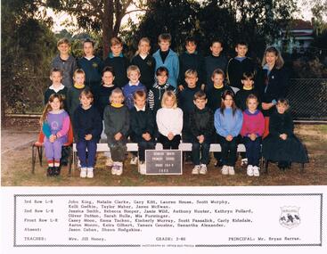 Photograph - BENDIGO NORTH P.S. COLLECTION: CLASS PHOTO 1993