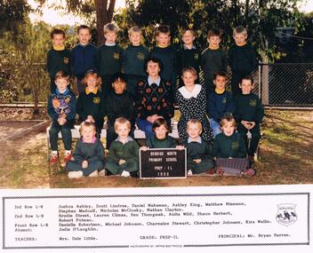 Photograph - BENDIGO NORTH P.S. COLLECTION: CLASS PHOTO 1993