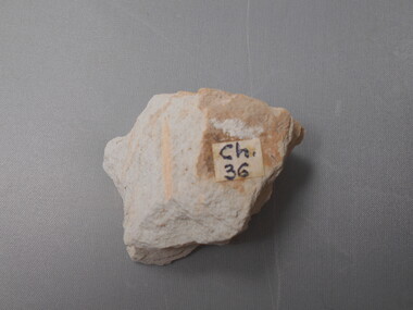 Geological specimen - GRAPTOLITE COLLECTION: PHYLLOGRAPTUS AUGUSTIFOLIUS (J. HALL 35084) CHEWTONIAN