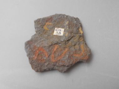 Geological specimen - GRAPTOLITE COLLECTION: ISOGRAPTUS CADUCEUS VAR. VICTORIAE HARRIS