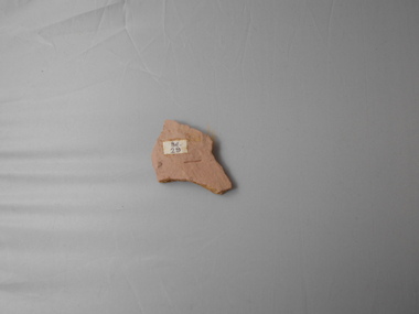 Geological specimen - GRAPTOLITE COLLECTION: DIDYMOGRAPTUS SIMILIS (J. HALL) 41341)