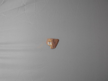 Geological specimen - GRAPTOLITE COLLECTION: TETRAGRAPTUS FRUTICOSUS (J. HALL) (3 BR.)