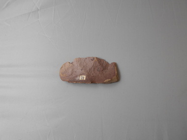 Geological specimen - GRAPTOLITE COLLECTION: ISOGRAPTUS MANUBRIATUS T.S.H