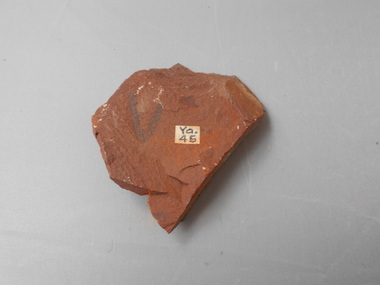 Geological specimen - GRAPTOLITE COLLECTION: ISOGRAPTUS CADUCEUS VAR. DIVERGENS HARRIS (3132