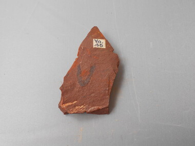 Geological specimen - GRAPTOLITE COLLECTION: ISOGRAPTUS CADUCEUS VAR
