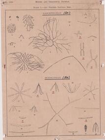 Document - GRAPTOLITE COLLECTION: MINING AND GEOLOGICAL JOURNAL 1938