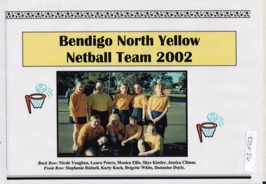 Photograph - NORTH BENDIGO P.S. COLLECTION: NORTH BENDIGO YELLOW NETBALL TEAM 2002