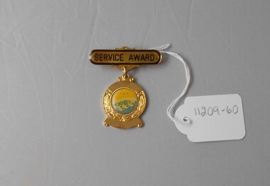 Award - VAL CAMPBELL COLLECTION: BENDIGO EAST SWIMMING CLUB SERVICE AWARD, 1994