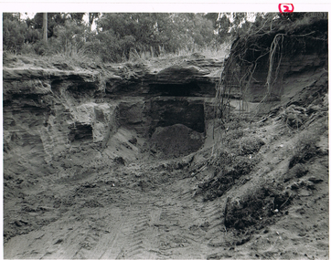 Photograph - MCCOLL, RANKIN AND STANISTREET  COLLECTION: VIEW OF EXCAVATION